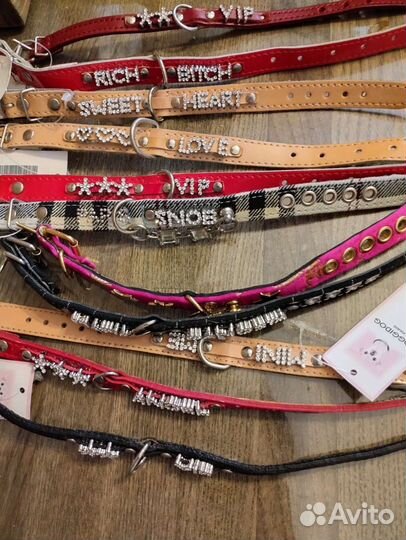 Ошейник для мелких пород