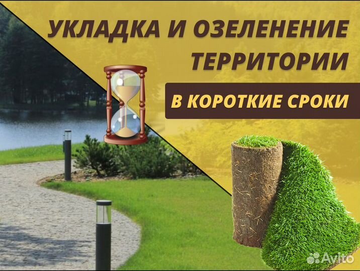 Рулонный газон под ключ Элитный