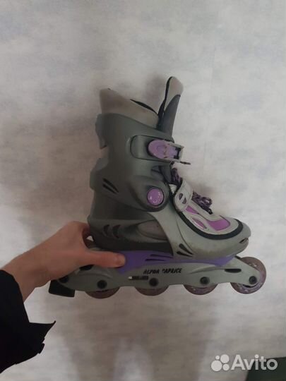 Выдвижные ролики Alpha Caprice