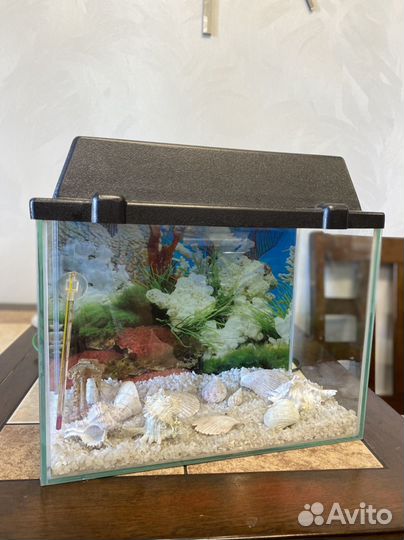 Аквариум