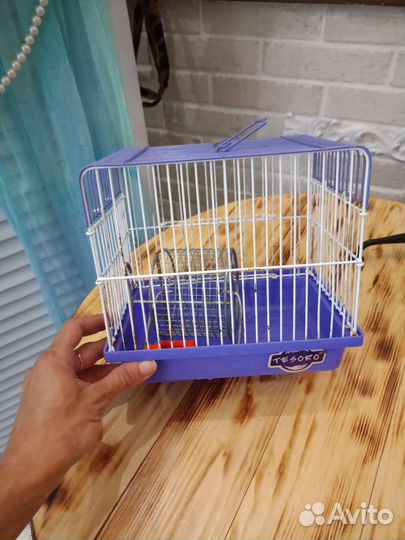 Клетка переноска для грызунов