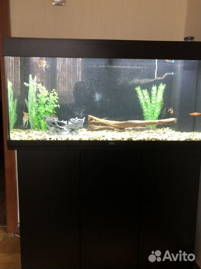 Аквариум с тумбой juwel 180л