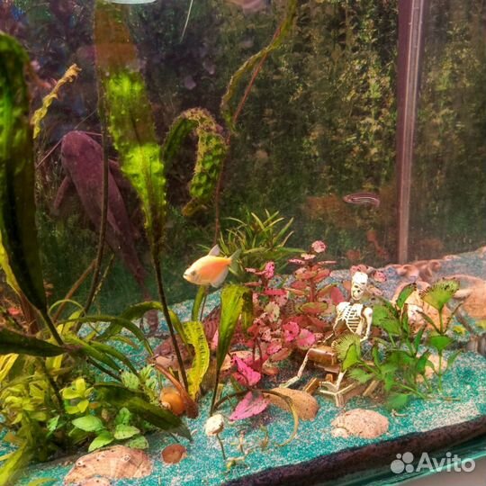 Аквариум 120л. с рыбками