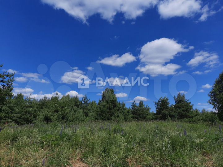 Участок 25 сот. (личное подсобное хозяйство (лпх))