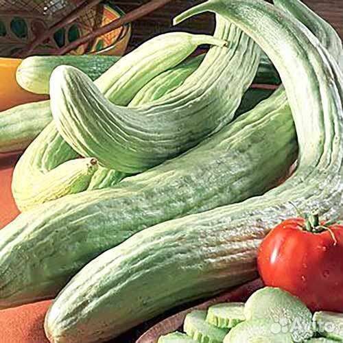 Семена садовой экзотики