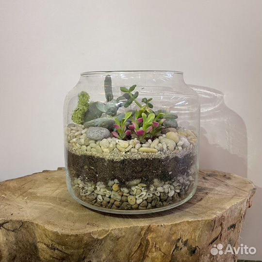 Флорариум «Венера» круглый с суккулентами