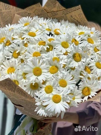 Цветы. Букет из ромашек