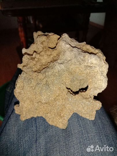 Кораллы раковины и камни для аквариума