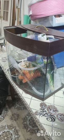 Аквариум