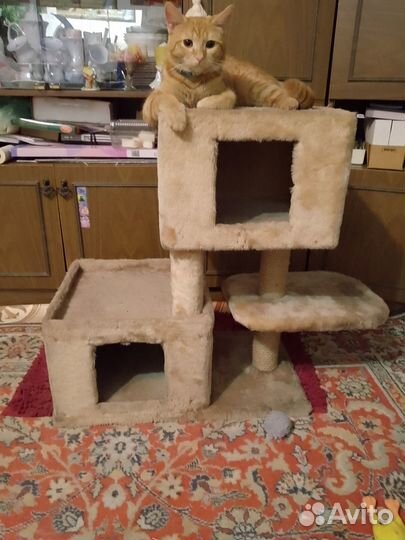 Кошачий домик с когтеточкой