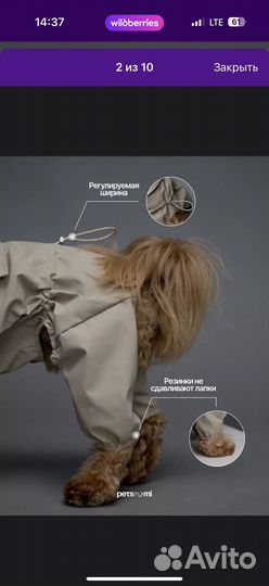 Комбинезон доя собаки