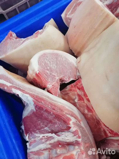 Мясо: Свинина без ноги разруб по 20кг
