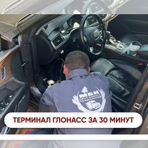 GPS Трекеры для рнис