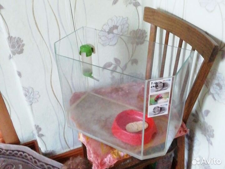 Аквариум для грызунов