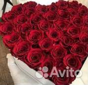 Розы. 101 Роза. Букет цветов. 25, 51 роза