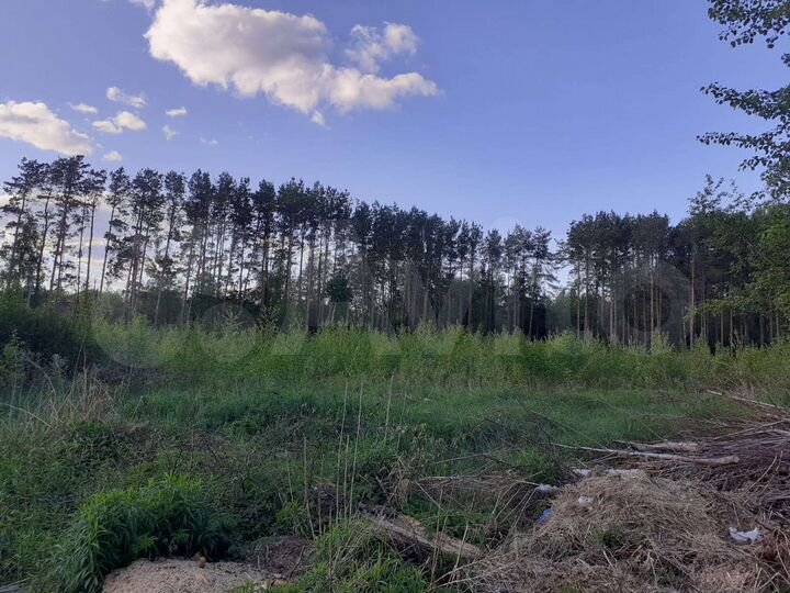 Участок 12 сот. (ИЖС)