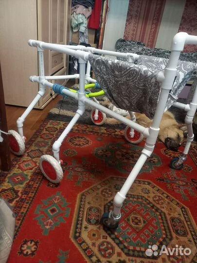 Коляска для собак