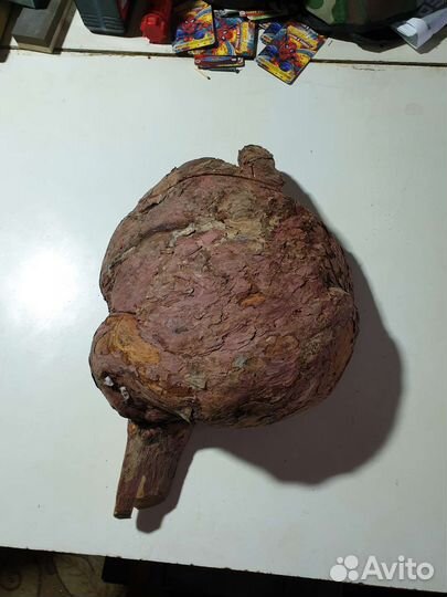 Кап Лиственницы