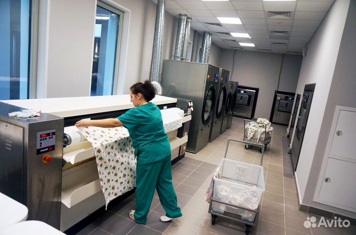 Гладильщица