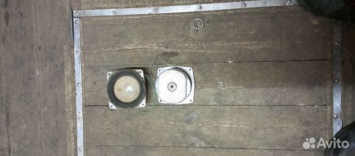 Динамики гдн