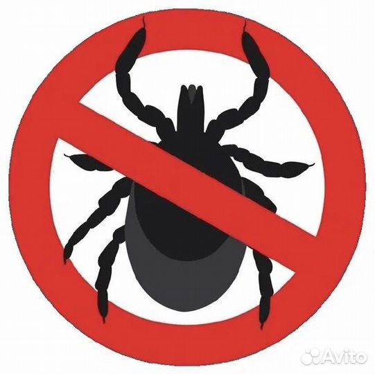 Обработка собак от клещей и блох