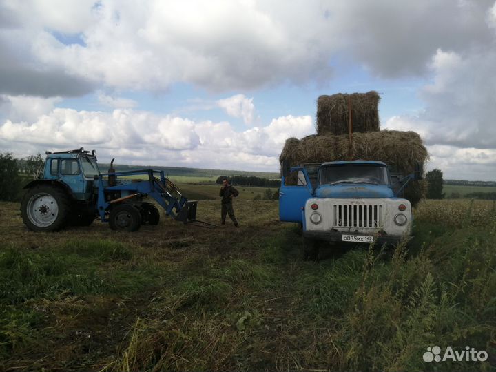 Услуги самосвала газ 53