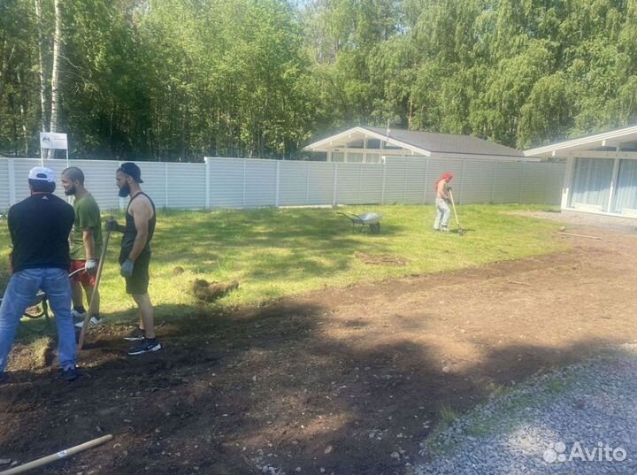 Качественный газон под ключ