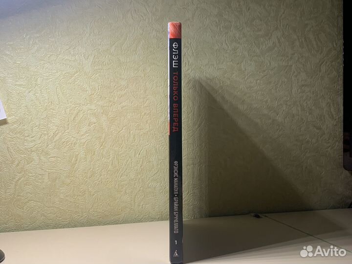 Флэш Книга 1. Только вперёд