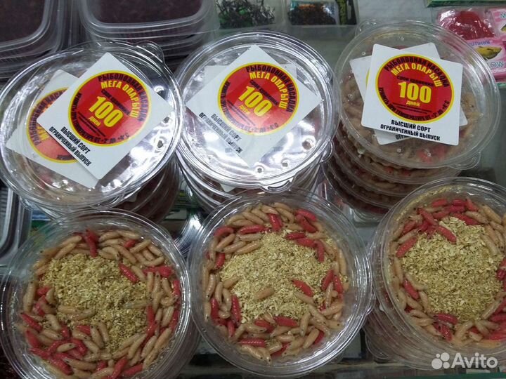 Живые черви