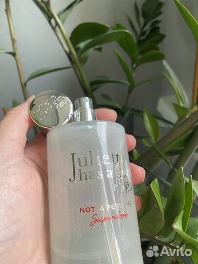 Juliette has a gun not a perfume superdose распив