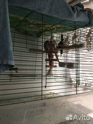 Большая Клетка для средних попугаев