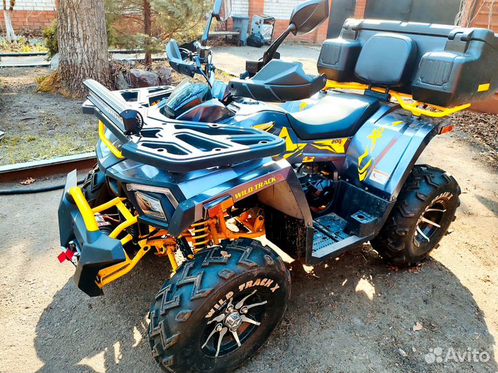 Квадроцикл Motoland Wild Track X 200