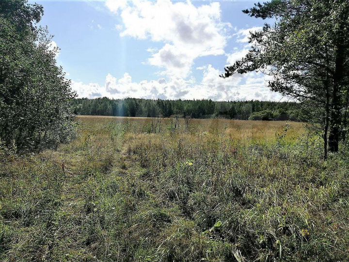 Участок 2,18 га (СНТ, ДНП)