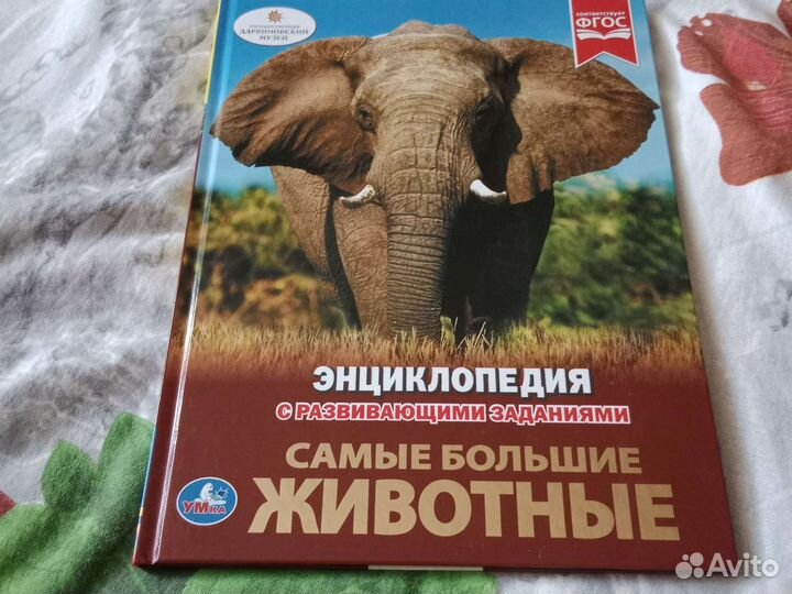 Детские книги, Самые большие животные