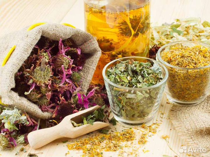 Экскурсия — Красноярск — Травы в жизни сибиряка