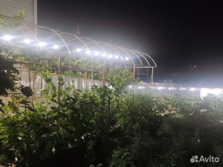 Гирлянда уличная новая