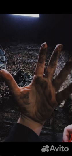 Террариумы, декор