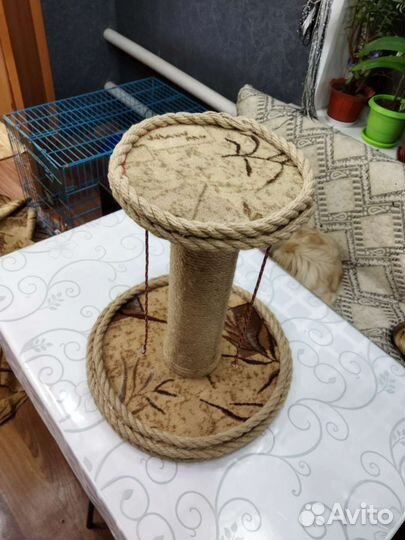Когтеточка для кошек