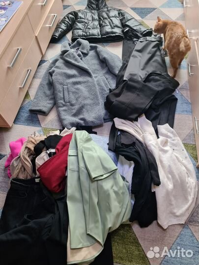 Отдам вещи 44 размер