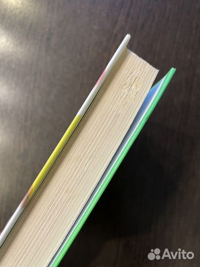 Книга Ларисы Сурковой