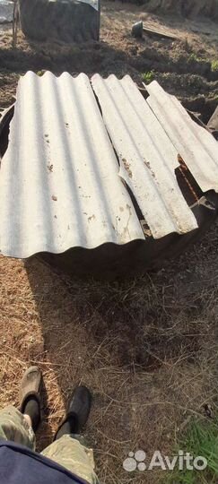 Пивная дробина