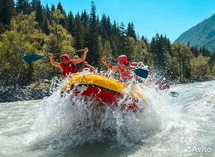 Поездка в горный Алтай на 7 нч. завтраки
