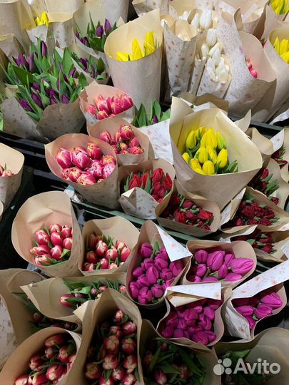 Тюльпаны на 8 марта цветы