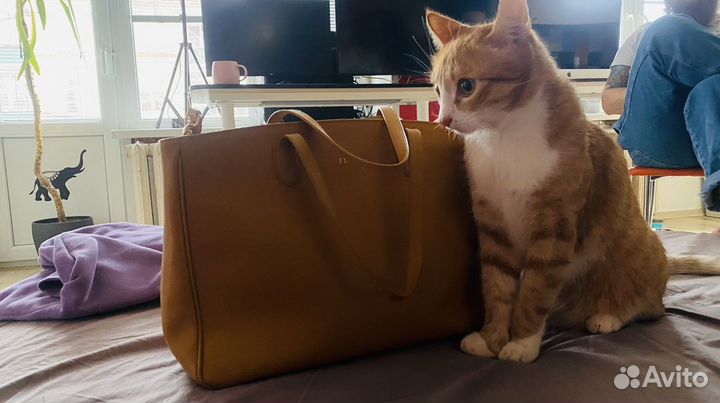 Британская