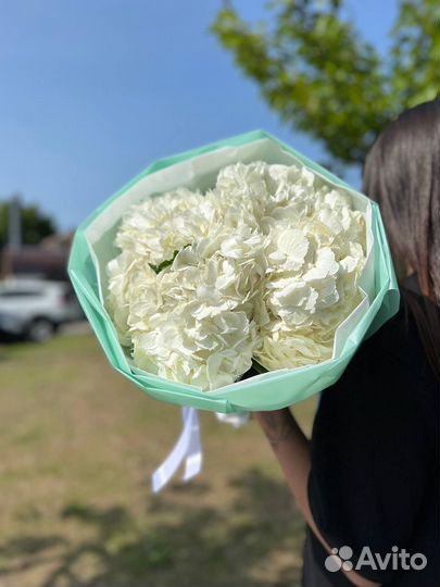 Белая гортензия, букет из гортензий
