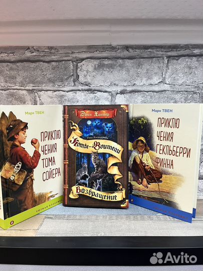 Книги Холли Вебб, Фрауке Шойнеманн