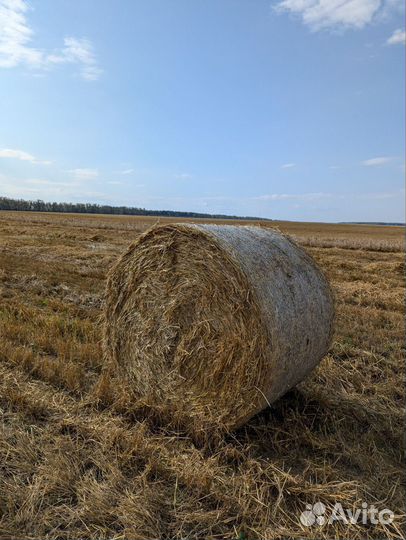 Солома в тюках