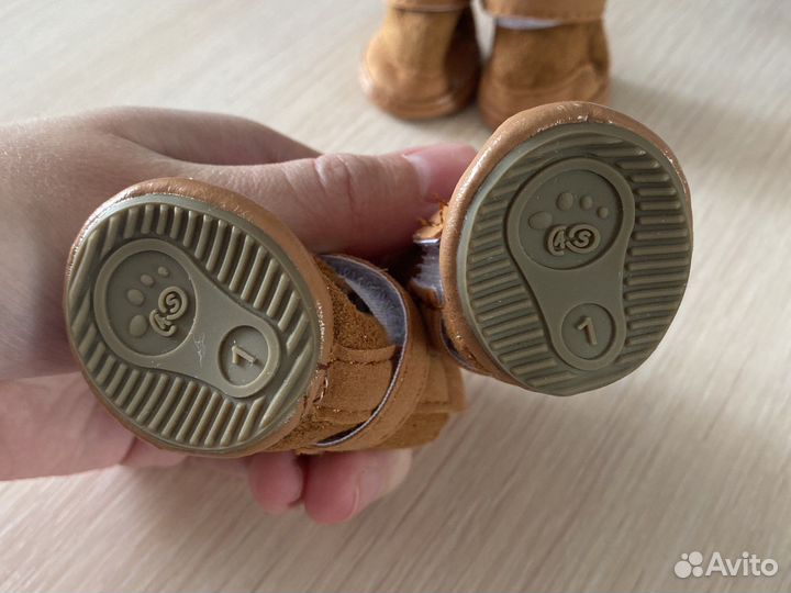 Ботинки зимние для собак