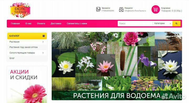 Создание сайтов I Яндекс Директ I сео продвижение