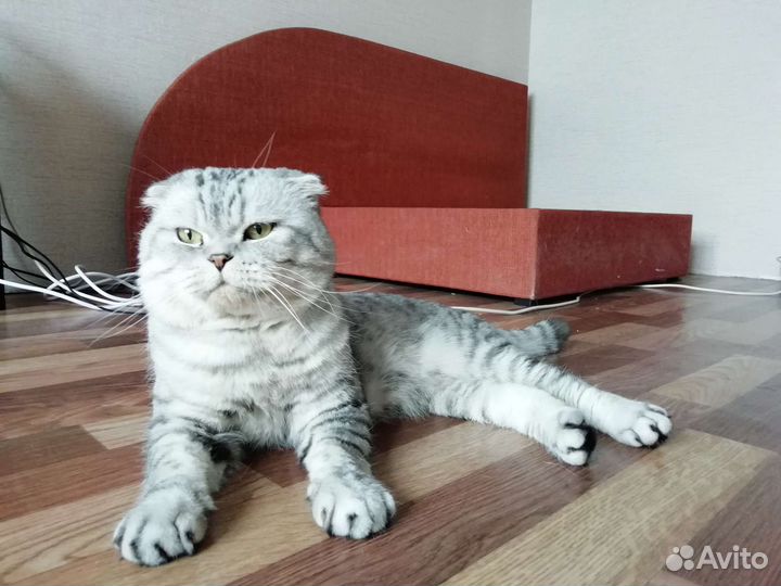 Вязка
